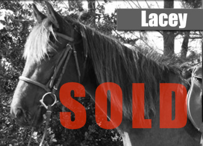 lacey-sold